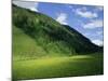 Stubachtal Valley, Hohe Tauern National Park, Salzburgland, Austrian Alps, Austria, Europe-Richard Nebesky-Mounted Photographic Print