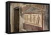 Stuccoed and Frescoed Lararium, Thermopolium of Vetutius Placidus, Pompeii, Campania, Italy-Eleanor Scriven-Framed Stretched Canvas