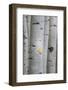 Stuck On You-Danny Head-Framed Photographic Print