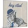 Stud Tiger-Vivien Rhyan-Mounted Art Print