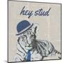 Stud Tiger-Vivien Rhyan-Mounted Art Print