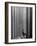 Student Leaning Against Ionic Columns at Entrance of Main Building at MIT-Gjon Mili-Framed Photographic Print