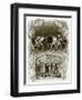 Student Life in Germany-English-Framed Giclee Print