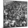 Students Eating in School Cafeteria-Alfred Eisenstaedt-Mounted Photographic Print
