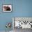 Students Read the Holy Quran During a Class in Herat, Afghanistan-null-Framed Photographic Print displayed on a wall