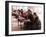 Students Read the Holy Quran During a Class in Herat, Afghanistan-null-Framed Photographic Print