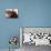 Students Read the Holy Quran During a Class in Herat, Afghanistan-null-Mounted Photographic Print displayed on a wall