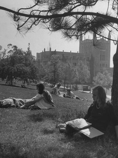 'Students Studying on a Spring Day at the Ucla Campus' Photographic ...