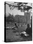 'Students Studying on a Spring Day at the Ucla Campus' Photographic ...