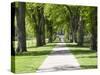 Students Walk in the Oval, Fort Collins, Colorado, USA-Trish Drury-Stretched Canvas