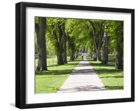 Students Walk in the Oval, Fort Collins, Colorado, USA-Trish Drury-Framed Premium Photographic Print