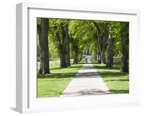 Students Walk in the Oval, Fort Collins, Colorado, USA-Trish Drury-Framed Photographic Print