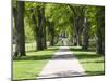 Students Walk in the Oval, Fort Collins, Colorado, USA-Trish Drury-Mounted Photographic Print