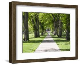 Students Walk in the Oval, Fort Collins, Colorado, USA-Trish Drury-Framed Photographic Print