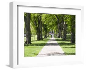 Students Walk in the Oval, Fort Collins, Colorado, USA-Trish Drury-Framed Photographic Print