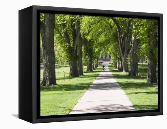 Students Walk in the Oval, Fort Collins, Colorado, USA-Trish Drury-Framed Stretched Canvas