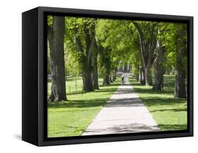 Students Walk in the Oval, Fort Collins, Colorado, USA-Trish Drury-Framed Stretched Canvas