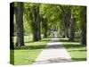 Students Walk in the Oval, Fort Collins, Colorado, USA-Trish Drury-Stretched Canvas