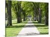 Students Walk in the Oval, Fort Collins, Colorado, USA-Trish Drury-Stretched Canvas