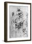 Studies for a Madonna Del Gatto, 15th Century-Leonardo da Vinci-Framed Giclee Print