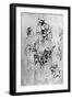 Studies for a Madonna Del Gatto, 15th Century-Leonardo da Vinci-Framed Giclee Print