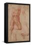 Studies for Haman-Michelangelo-Framed Stretched Canvas