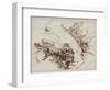 Studies for the Death of Empedocles, after 1666-Salvator Rosa-Framed Giclee Print