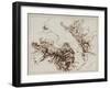 Studies for the Death of Empedocles, after 1666-Salvator Rosa-Framed Giclee Print