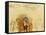 Studies for the Duke of Wellington (1769-1852)-Sir George Hayter-Framed Stretched Canvas