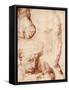 Studies for the Figure of the Cross-Bearer in the Last Judgement, Sistine Chapel, Rome, 1913-Michelangelo Buonarroti-Framed Stretched Canvas