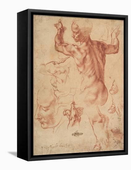 Studies for the Libyan Sibyl (recto), c.1510-11-Michelangelo Buonarroti-Framed Stretched Canvas