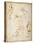 Studies for the 'Madonna of the Meadow', C.1505-Raphael-Stretched Canvas