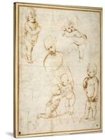 Studies for the 'Madonna of the Meadow', C.1505-Raphael-Stretched Canvas