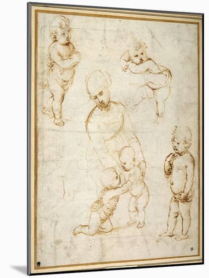 Studies for the 'Madonna of the Meadow', C.1505-Raphael-Mounted Giclee Print