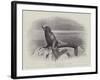 Studies from Life at the Zoological Gardens, a Californian Sea-Lion-null-Framed Giclee Print