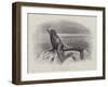 Studies from Life at the Zoological Gardens, a Californian Sea-Lion-null-Framed Giclee Print