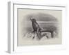 Studies from Life at the Zoological Gardens, a Californian Sea-Lion-null-Framed Giclee Print