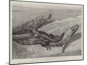 Studies from Life at the Zoological Gardens, Common Alligators of the Mississippi-null-Mounted Giclee Print