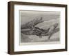 Studies from Life at the Zoological Gardens, Common Alligators of the Mississippi-null-Framed Giclee Print