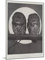 Studies from Life at the Zoological Gardens, Tawny Owls-null-Mounted Giclee Print