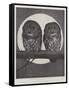 Studies from Life at the Zoological Gardens, Tawny Owls-null-Framed Stretched Canvas