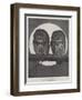 Studies from Life at the Zoological Gardens, Tawny Owls-null-Framed Giclee Print