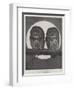 Studies from Life at the Zoological Gardens, Tawny Owls-null-Framed Giclee Print