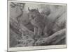 Studies from Life at the Zoological Gardens, the Canadian Lynx-null-Mounted Giclee Print