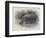 Studies from Life at the Zoological Gardens, the Home of the Hippopotamus-null-Framed Premium Giclee Print