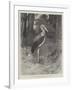 Studies from Life at the Zoological Gardens, the Marabou Stork-null-Framed Giclee Print