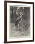 Studies from Life at the Zoological Gardens, the Marabou Stork-null-Framed Giclee Print