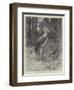 Studies from Life at the Zoological Gardens, the Marabou Stork-null-Framed Giclee Print