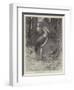 Studies from Life at the Zoological Gardens, the Marabou Stork-null-Framed Giclee Print