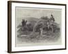 Studies from Life at the Zoological Gardens, the Red Kangaroo-null-Framed Giclee Print